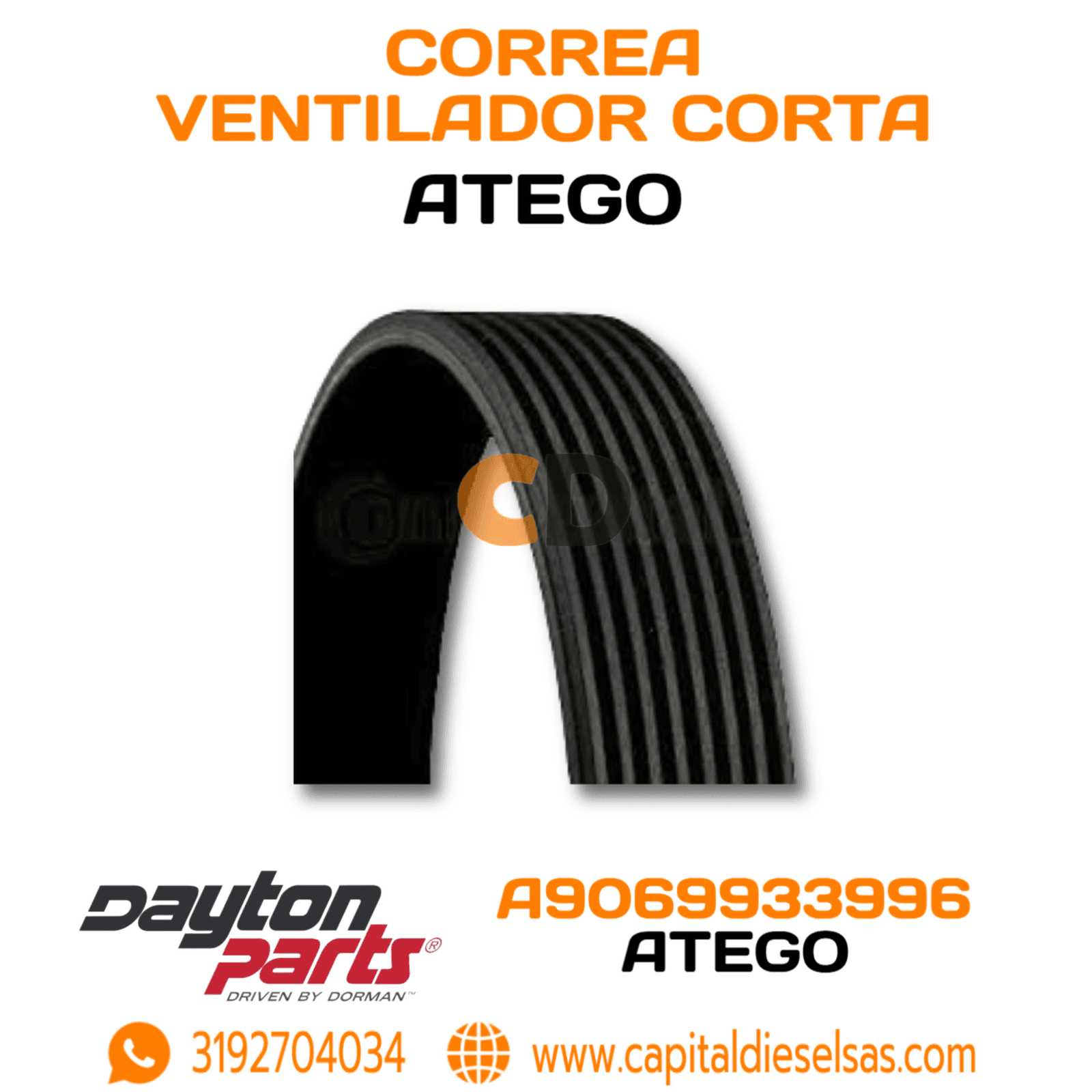 A9069933996